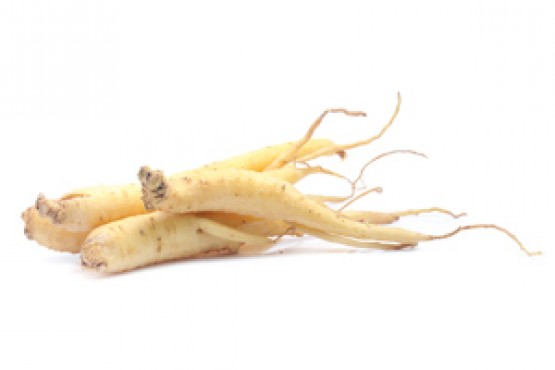 Le Ginseng - Panax Ginseng