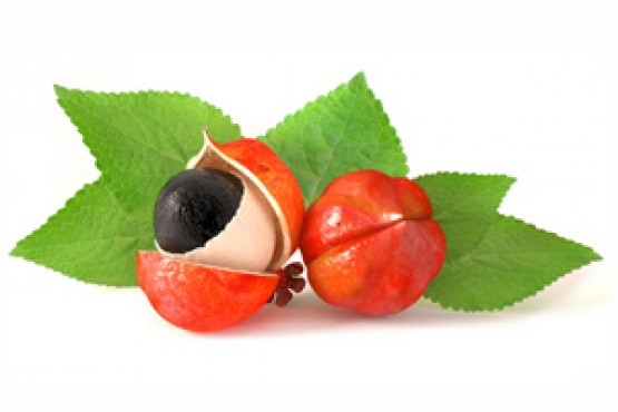 Le Guarana