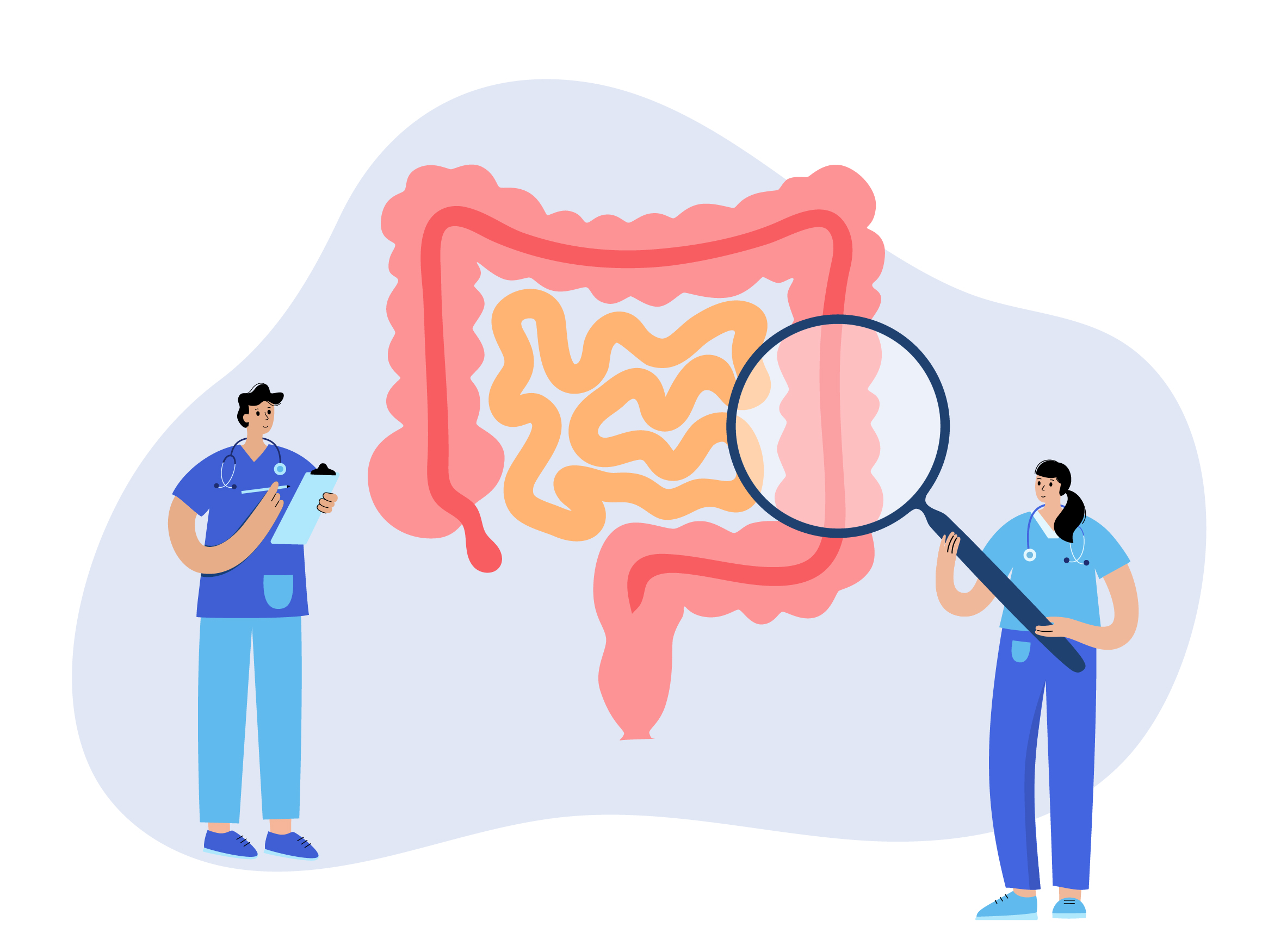 Les étapes de la digestion