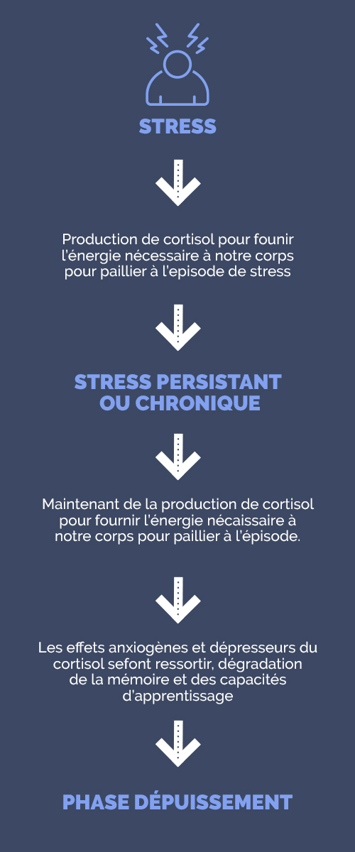 Les conséquences du stress sur l'organisme | PONROY