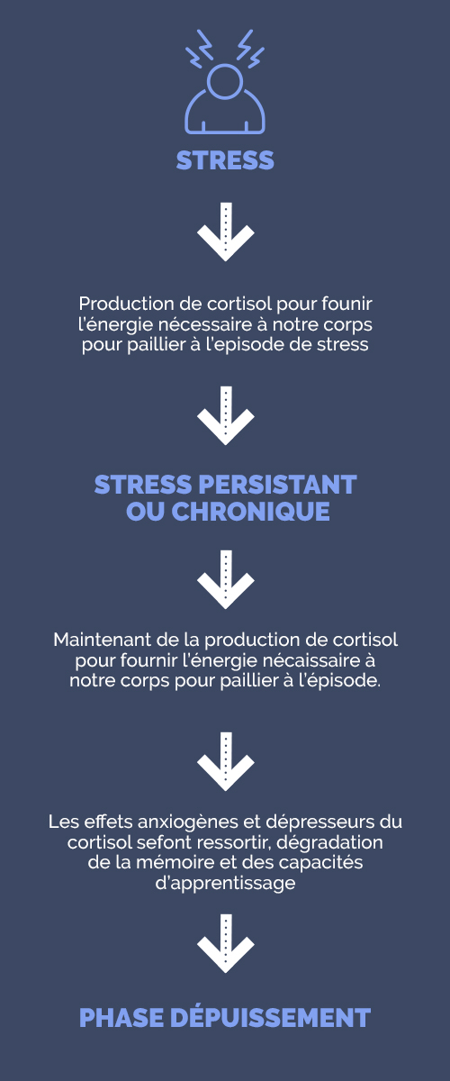 Les conséquences du stress sur l'organisme